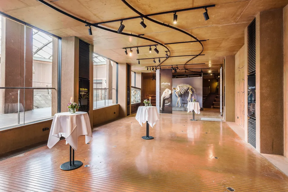 Elefanthuset v. Zoologisk Have København: Det aflange område med cocktailborde, søjler og glas mod elefantområdet.